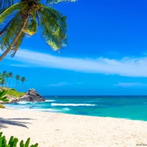 Beaches-in-Sri-Lanka-768x510