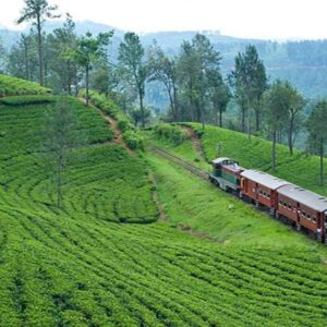 Train-Ride-1024x576
